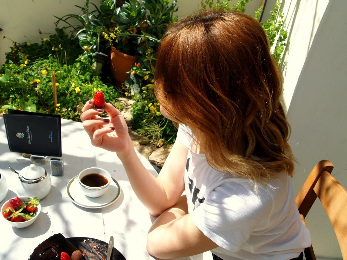 Donquihotel Chalet Karvounades 외부 사진